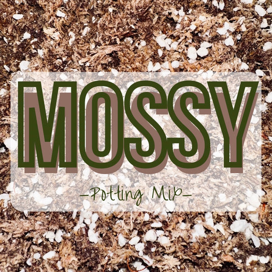 MOSSY Potting Mix