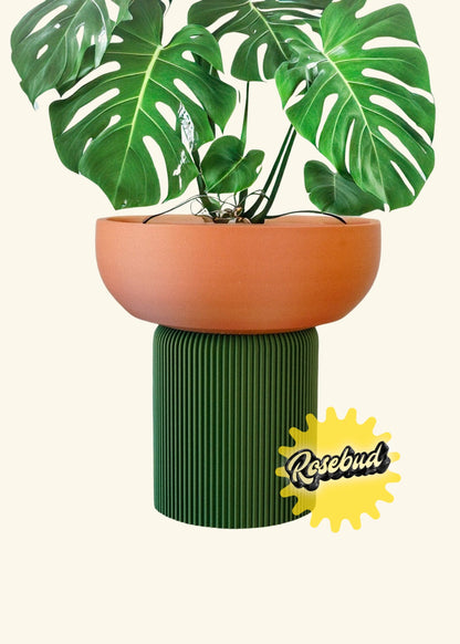 Rosebud HomeGoods “The Pedestal” Planter with Stand