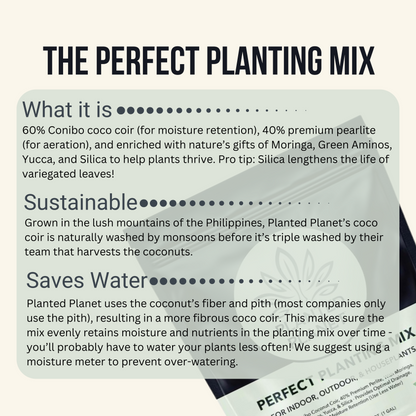 Planted Planet ‘The Dream Team’ (2 Perfect Planting Mixes, 1 Succulent Mix, & 1 Coco Biochar)