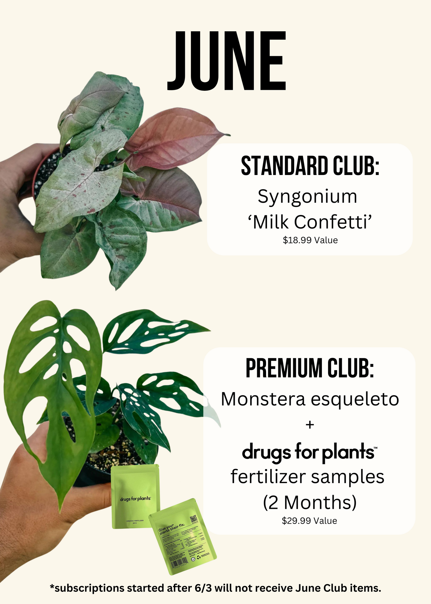 Plant of the Month Club (Subscription)